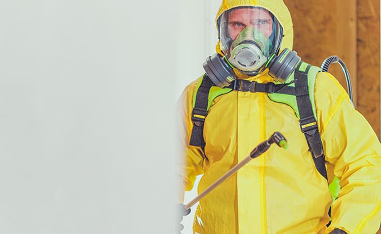 Brecs Biohazard and restoration